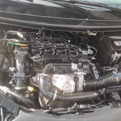 Ford Focus DV6 1.6 Dizel Çıkma Motor